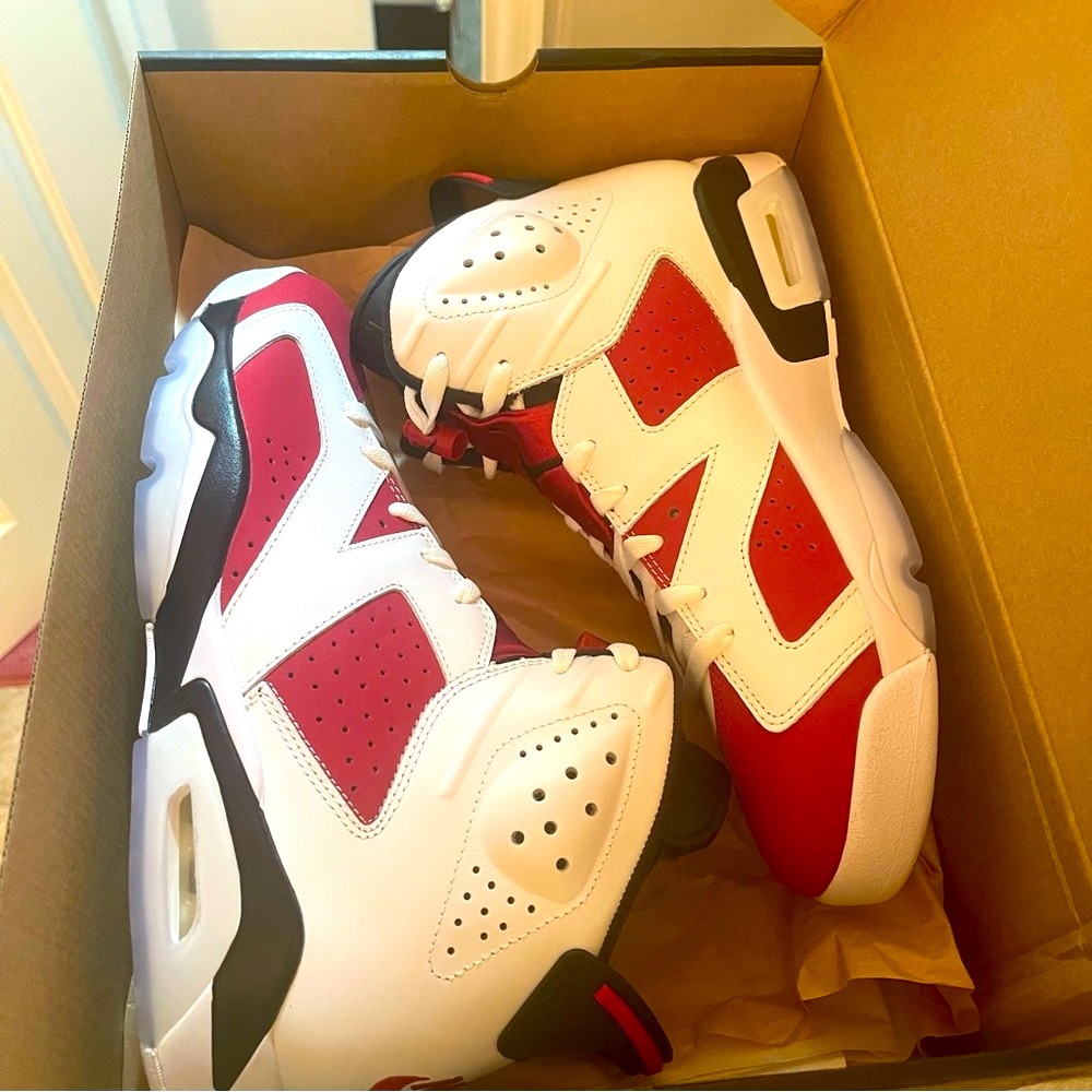 🔥🔥AIR JORDAN 6 CARMINE🔥🔥 - Picture 1 of 5
